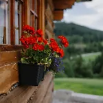 Domek alpejski V Raztoke