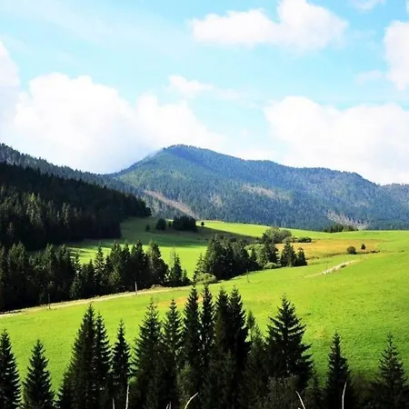 Chalet V Raztoke