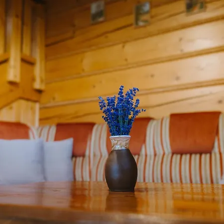 V Ráztoke Chalet Velke Borove